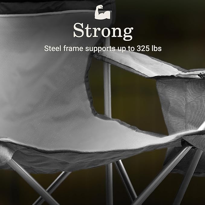 Coleman Portable Camping Chair with 4-Can Cooler Cushioned Seat &amp Back with Side Pockets &amp Cup Holder Carry Bag Included Great for Camping Tailgating Firepits Patio &amp More
