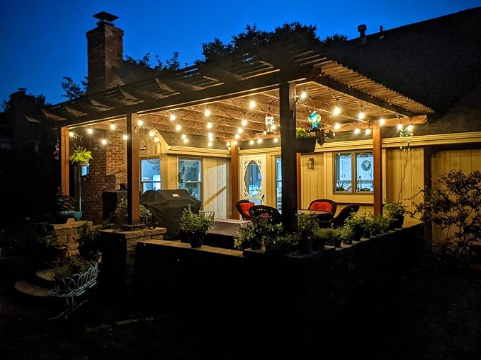 Brightech Ambience Pro - Waterproof LED Outdoor String Lights - Hanging Dimmable 2W Vintage Edison Bulbs - 48 Ft Commercial Grade Patio Lights Create Cafe Ambience In Your Backyard