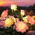 GIGALUMI Solar Lights Outdoor for Garden Decor 4 Pack Solar Flower Lights Waterproof 2 Lighting Modes 12 Roses for PathwayYard Patio Decoration Gardening Gifts for Women (Pink+Yellow)