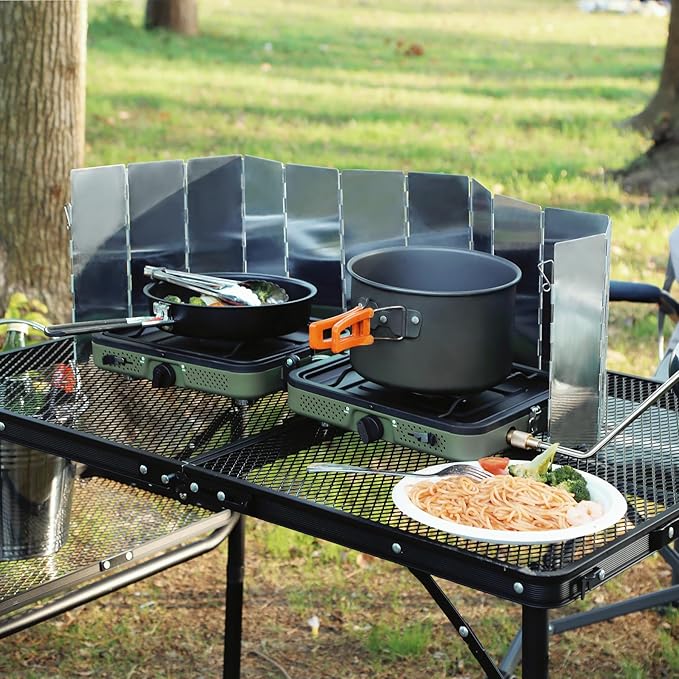2 Burner Camping Stove with Windscreen Portable Folding Gas Stove with 17200 BTU Adjustable Burners12 Plates Foldable Aluminum Camping Stove Windshield Suitable for Propane &amp Butane