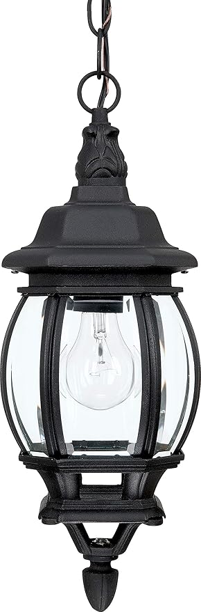 Capital Lighting 9868BK French Country Clear Glass Outdoor Pendant 1-Light 100 Watt 17 H x 7 W Black