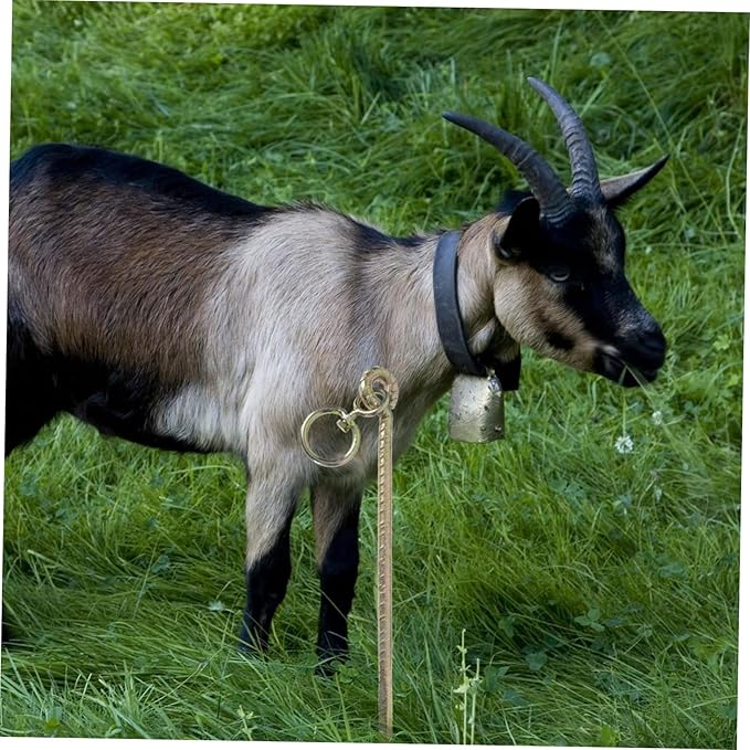 1pc Cattle Fixing Rod Stake for Livestock Tie-Out Easy Install Ground Nail for Dogs Large for Camping and Outdoor Use