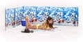 Beach Windscreen Privacy Screen Wind Blocker - Ships and Shells with Mallet and Bag