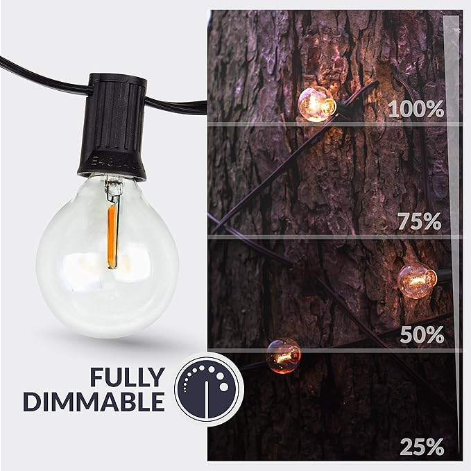 Newhouse Lighting LED G40 String Lights with Weatherproof Technology 100W Dimmer with Wireless Remote Control 50ft and 52 (50+2 Free) LED Light Bulbs Included Warm White (PSTRINGLEDDIM)