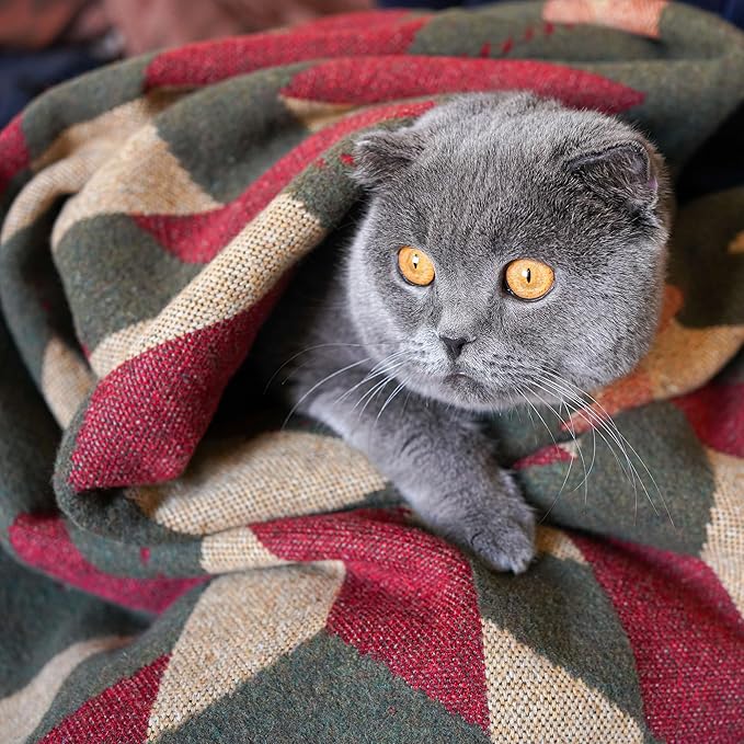 PuTian Merino Wool Camp Blanket - 51 x 63 Great for Bed Couch Camping Outdoors Travel Emergency -Large Warm Soft Washable Wool Throw