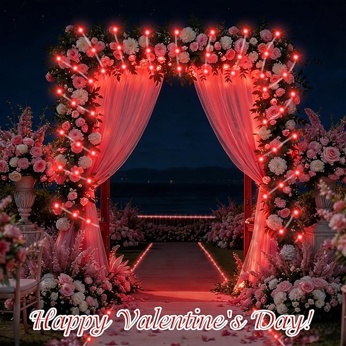 QITONG Red Solar Rope Lights Outdoor 2 Pack Each 33ft 100LED String Light 8 Modes Fairy Lights in Clear Thin Tube with 8 Modes