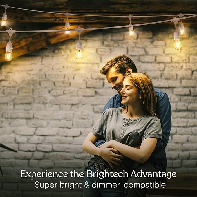 Brightech Ambience Pro Waterproof LED Outdoor String Lights 48 Ft Hanging Dimmable Vintage Edison Bulbs 15 Bulbs 2W