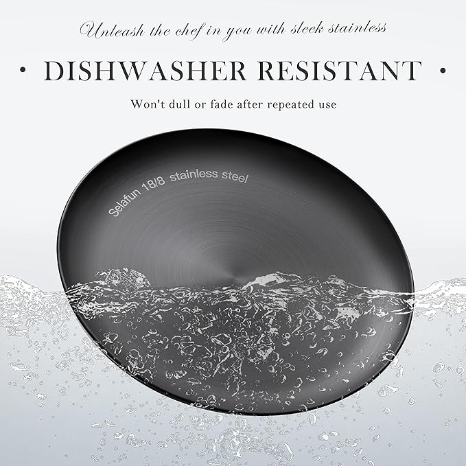 Stainless Steel Dinner plates 10 inch Round Set of 4 Dishwasher Safe (Black)