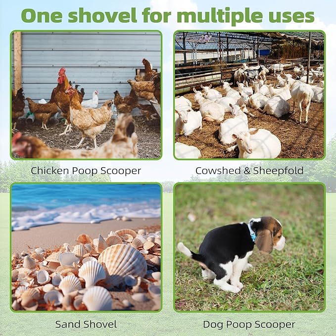 Jusoney Heavy-Duty Chicken Poop Scooper with 4-in-1 Adjustable Handle (35-61) - Sturdy Stainless Steel and Iron Construction for Large Chicken Coop - Ergonomic Design &amp Easy Cleaning