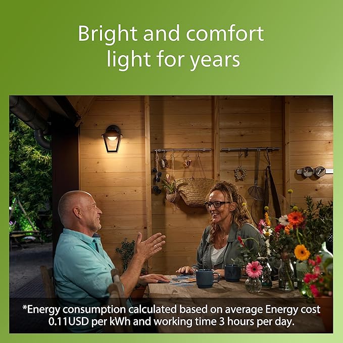 PHILIPS LED Outdoor Large Classic Wall Lantern 1-Pack Bright White (3000K) 500 Lumen (11W = 50W) Weather Resistant