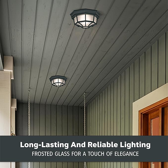 Designers Fountain 2067-BK Builder Cast Outdoor Flush Mount Ceiling Light 10.5 in W Black