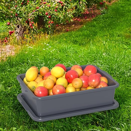 Ramddy 3-Pack 13 L Plastic Commercial Bus Tub with Lid Grey Bus Box Restaurant