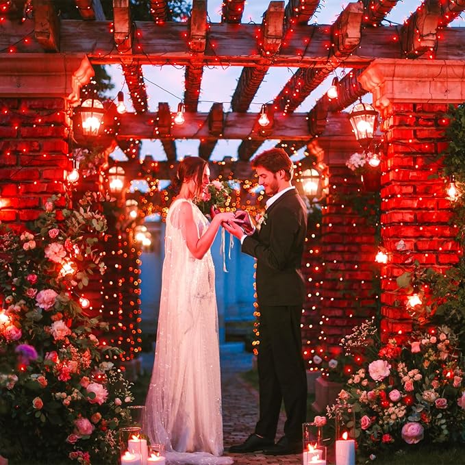 100FT 300 LED Christmas Lights Outdoor Plug in String Lights for Outside Waterproof with 8 Modes Connectable Green Wire Fairy Twinkle Lights for Indoor Patio Garden Xmas Holiday Decorations Red