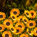 6 Packs Solar Sunflowers Outdoor Waterproof with 18 Flowers Auto ON/Off Solar Garden Lights Outdoor Waterproof 3 Packs Walkway Lights Gift for Grandma/Mom/Colleagues