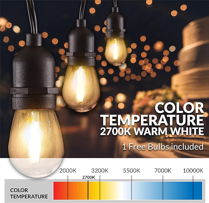Newhouse Lighting LED String Lights with Weatherproof Technology Dimmable with Wireless Remote Control 48ft and 16 (15+1 Free) LED Light Bulbs Included Black (CSTRINGLEDDIM)