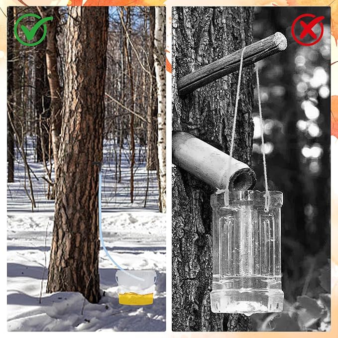 5 Sets Maple Syrup Tapping Kit Including 5 Buckets (5L) with Lid 30ft Tubing 10 Tree Taps 1 Tap &amp Drill Bit Maple Tree Tapping Kit for Experts or Beginners Maple Birch Syrup Collection Supplies