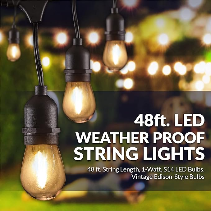 Newhouse Lighting LED String Lights with Weatherproof Technology Dimmable with Wireless Remote Control 48ft and 16 (15+1 Free) LED Light Bulbs Included Black (CSTRINGLEDDIM)