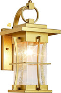 Gold Dusk to Dawn Outdoor Wall Lantern Exterior Light Fixtures Wall Mount Porch Light with Photocell Sensor Waterproof Outside Sconce for House Patio GarageSeeded Glass Outside Wall Lamps