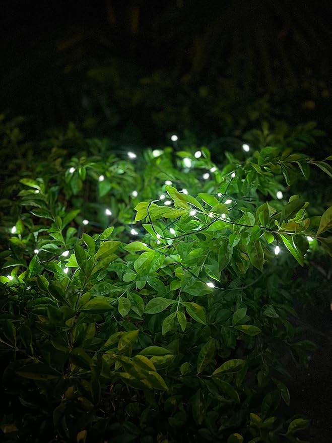 Magicnight Short Mini Garden Lights Solar Powered Waterproof Fairy Lights Outdoor Garden String Green Wire Warm White5m 50LEDs2 Pack