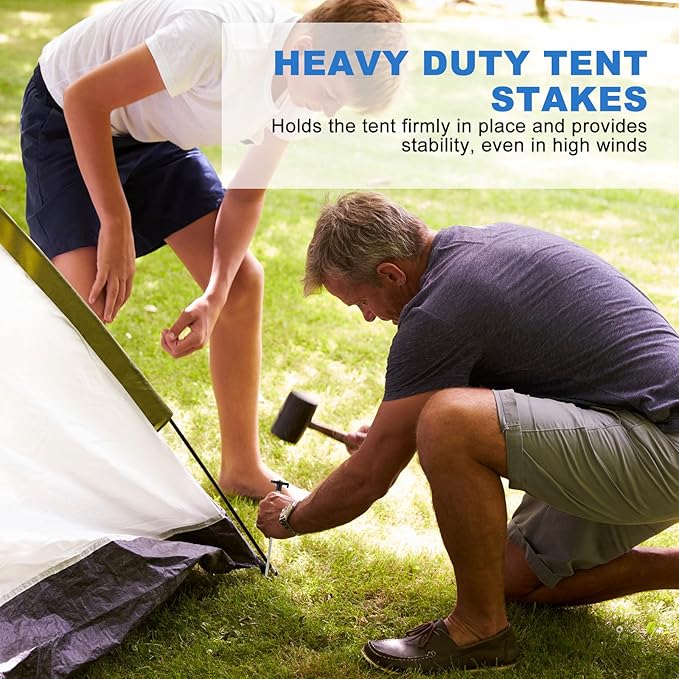 50PCS Tent Stakes Heavy Duty 9.8 Inch Metal Tent Pegs Galvanized Non-Rust Tent Stakes for Outdoor Camping Garden Canopies Grassland