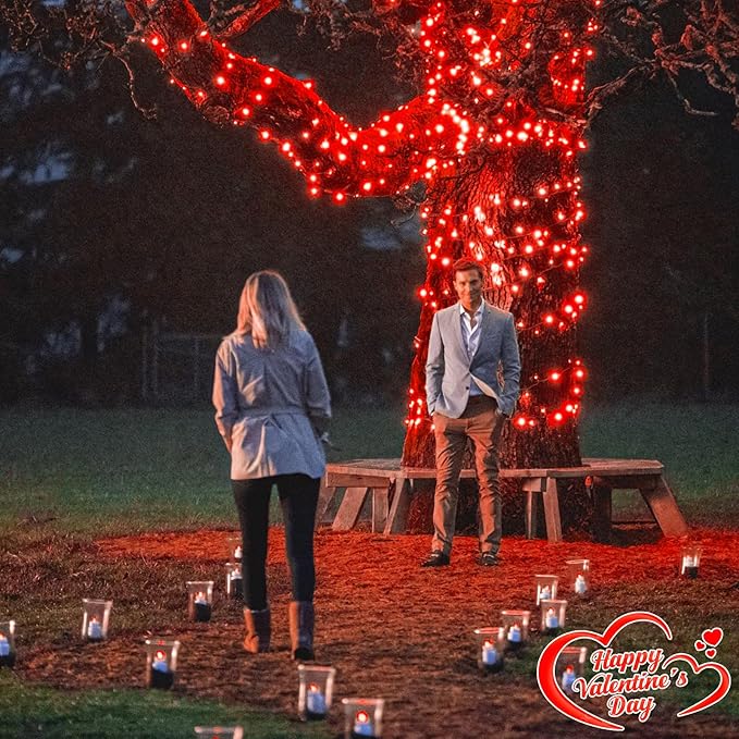 100FT 300 LED Christmas Lights Outdoor Plug in String Lights for Outside Waterproof with 8 Modes Connectable Green Wire Fairy Twinkle Lights for Indoor Patio Garden Xmas Holiday Decorations Red