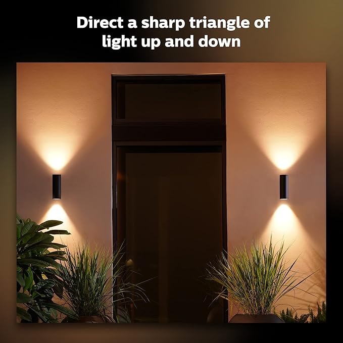 Philips Hue Appear Outdoor Smart Wall Light Black - White and Color Ambiance LED Color-Changing Light - 1 Pack - Requires Hue Bridge - Control with Hue App and Voice - Weatherproof