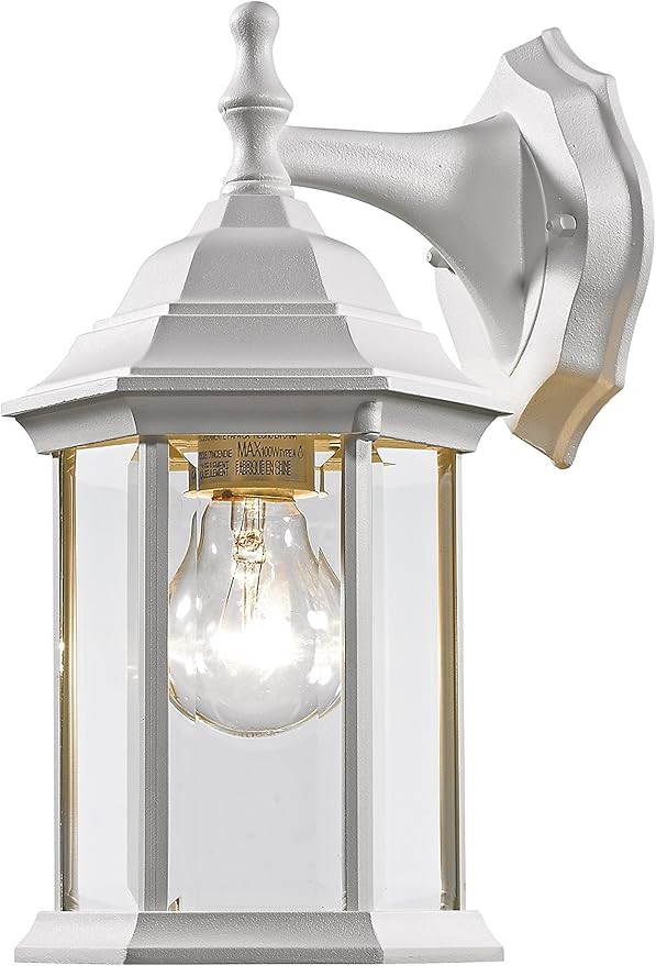 Z-Lite T21WH 1-Light Outdoor Wall Light with White Frame Clear Beveled