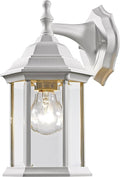 Z-Lite T21WH 1-Light Outdoor Wall Light with White Frame Clear Beveled