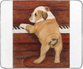 CafePress Piano Pup 50 x 60 Water-Resistant Outdoor Blanket