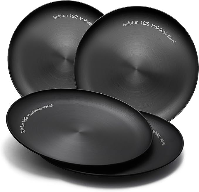 Stainless Steel Dinner plates 10 inch Round Set of 4 Dishwasher Safe (Black)