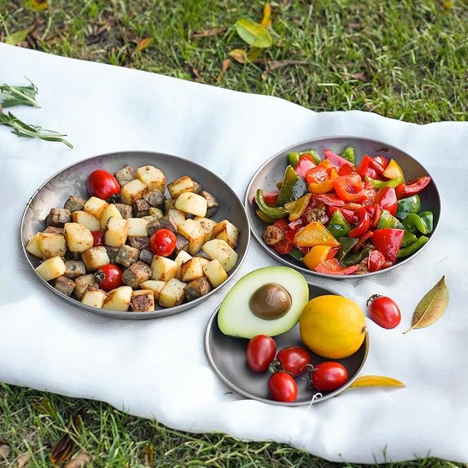 2 pcs Titanium Camping Plate Dishes8.66 Inch Ultralight Durable Titanium Dish Plate Outdoor Pasta Serving Backpacking plates for Travel Hiking Kitchen (22cm)