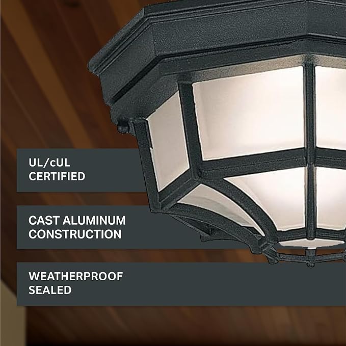 Designers Fountain 2067-BK Builder Cast Outdoor Flush Mount Ceiling Light 10.5 in W Black