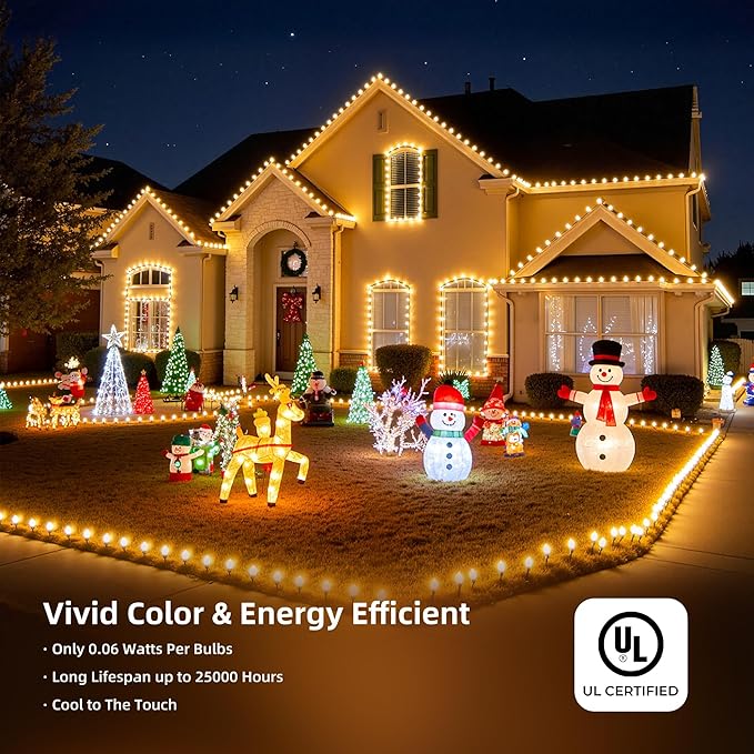 Moonflor C9 Christmas Lights Outdoor Vintage Christmas String Lights 100FT 100LED Green Wire (Warm White)