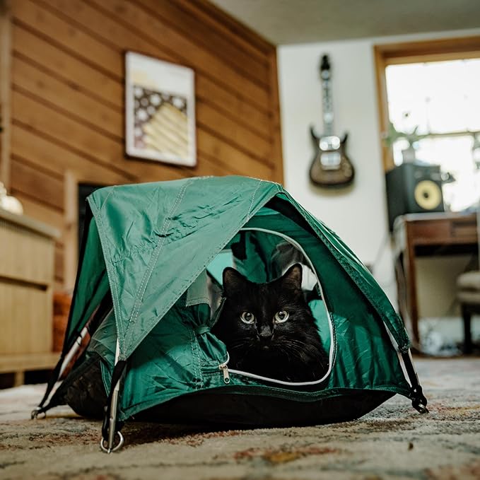 Tiny Tents