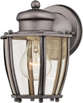Westinghouse Lighting 6468800 One-Light Antique Silver Finish with Clear Curved Glass Outdoor Wall Fixture