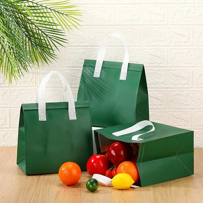 300 Pack Insulated Bags Bulk for Food Delivery 9.5 x 9.5 x 6 Thermal Take Away Bag for Hot Cold Food Coffee Milk Pizza Seafood Disposable Grocery Bag for Catering Restaurant(Dark Green)