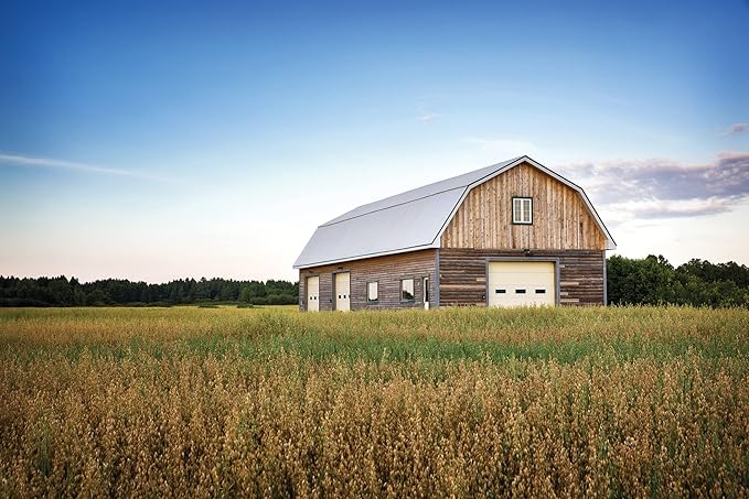 Lithonia Lighting BarnGuard LED Barn Light Dusk to Dawn Outdoor Lighting 4000K Cool White Wall or Pole Mountable Yard Light Fixture 120V Aluminum Dark Bronze