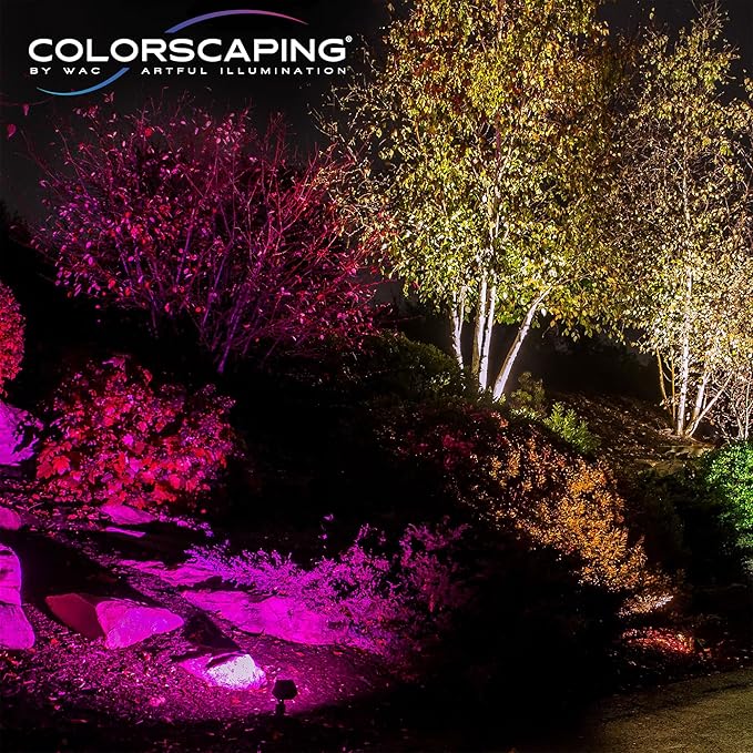 WAC Lighting LED 12V Colorscaping Smart App Controllable Landscape Lighting with RGBWW Color Changing and Tunable White Accent 15W Spot Light with Adjustable Beam Angle in Bronze