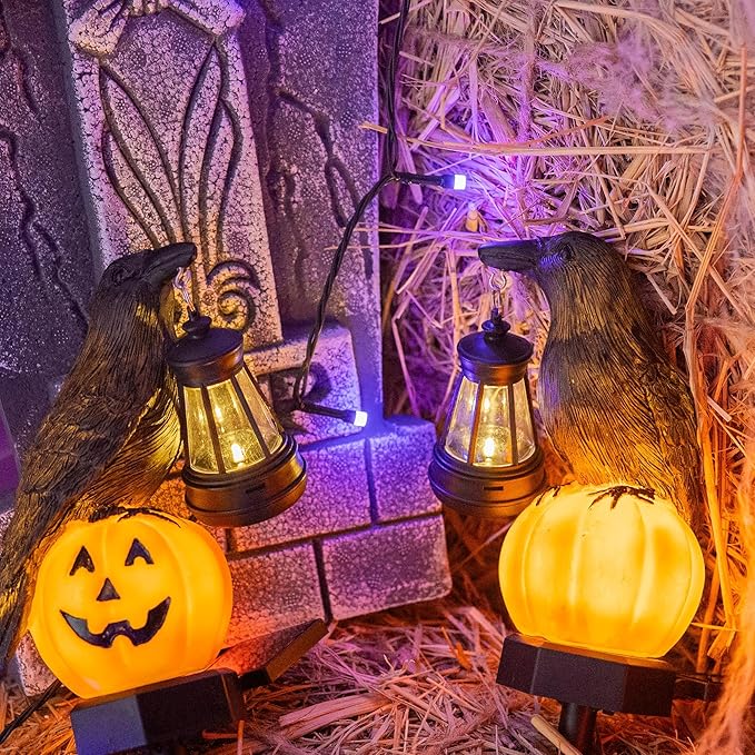 Dazzle Bright 2 Pack Halloween Crow Pathway Lights Outdoor Solar Powered Resin Crow with Pumpkin Walkway Lights Stake Light for Halloween Pathway Garden Lawn Yard Gifts Decoration