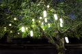 Britta Products Hanging Solar Garden Tree Light - Waterproof Solar Lights Solar Tree Lighting - Set of Two (2) Lights