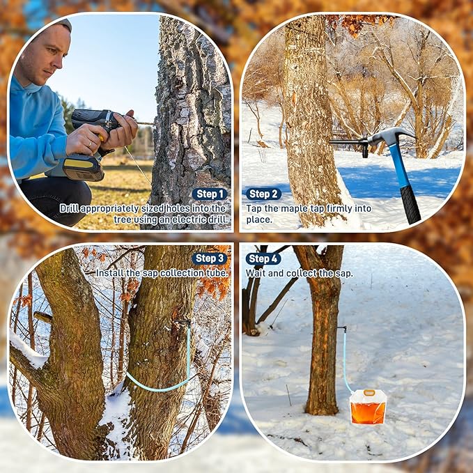 Maple Syrup Tapping Kit Maple Syrup Tree Tapping Kit Include 10 Drops 10 Tube 7 Sap Filters 6 Sap Clear Bags