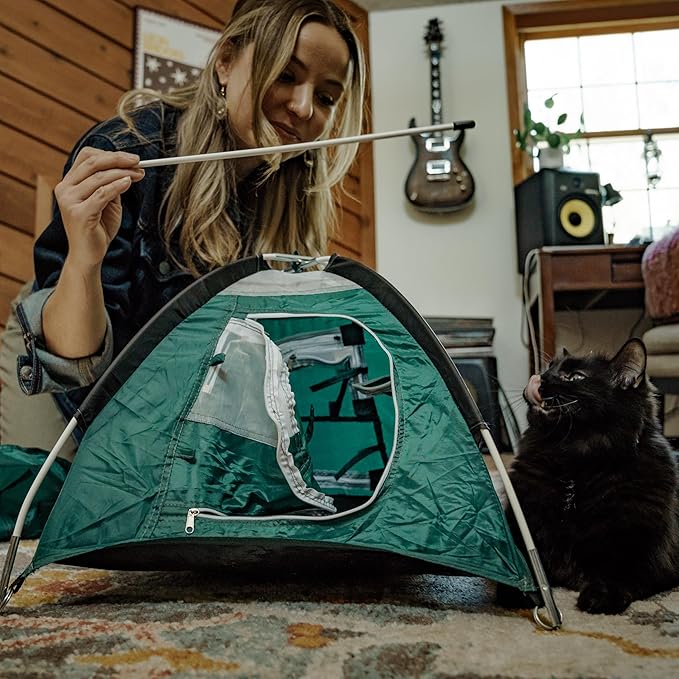 Tiny Tents