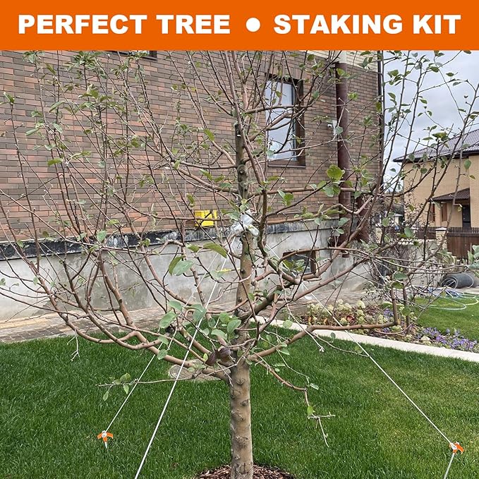 LANIAKEA 20PCS 8 Screw in Tent Stakes Heavy Duty Ground Anchors Screw in Metal Stakes with Hex Head Driver for Camping Grassland Portable Box (Orange)