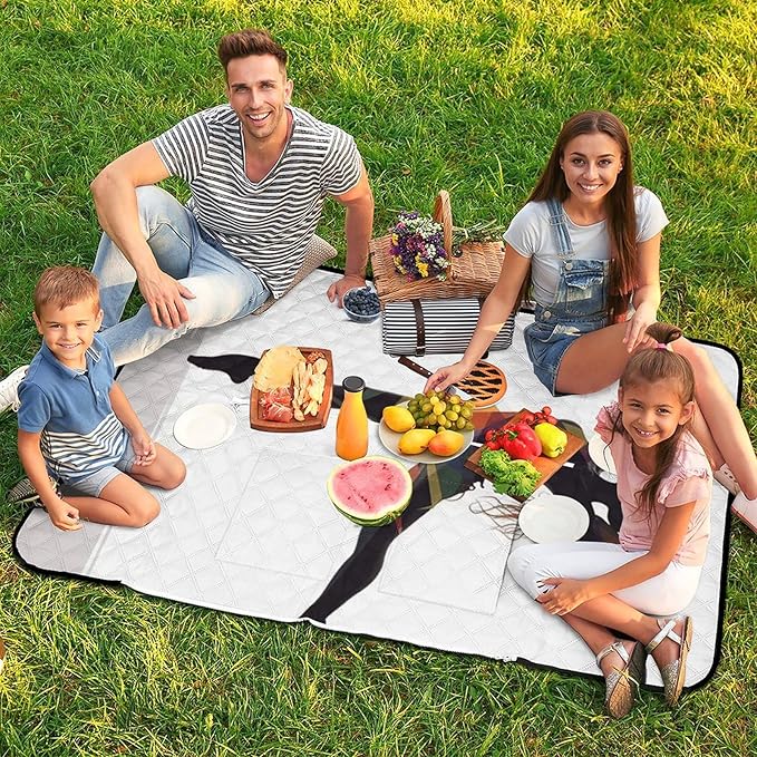 Zipper A Dancer Style Picnic Mat Suitable for Travel Camping Park Or Home Use