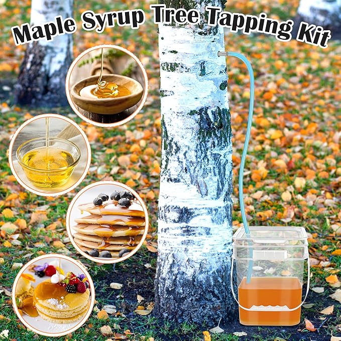 Maple Syrup Tapping Kit with 5 Stainless Steel Maple Tap Spiles HooksClear Buckets lids6 plugs19FT Food Grade Tubing Filters etc for Experts or Beginners Maple Syrup Collection Supplies