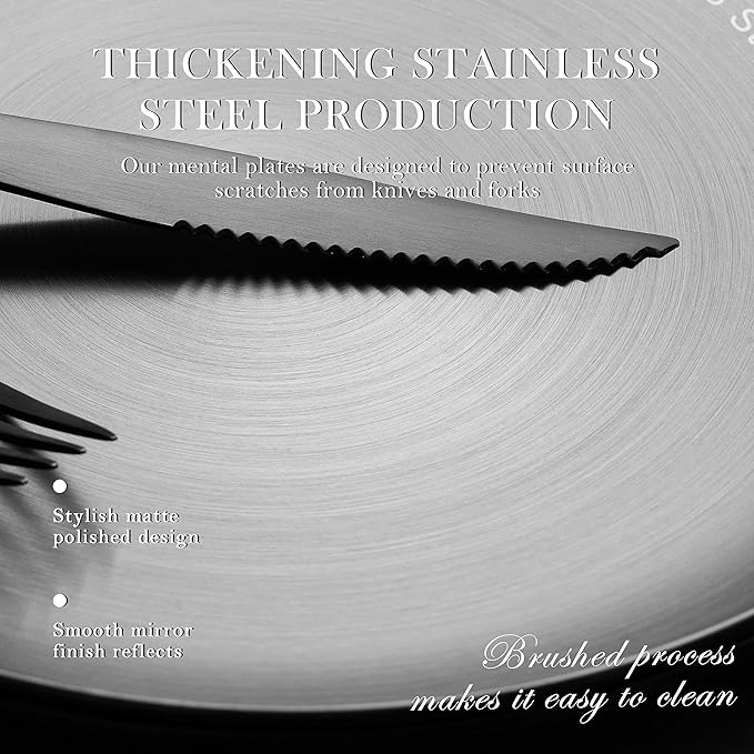 Stainless Steel Dinner plates 10 inch Round Set of 4 Dishwasher Safe (Black)