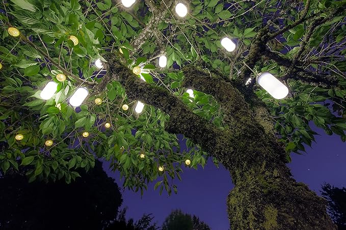 Britta Products Hanging Solar Garden Tree Light - Waterproof Solar Lights Solar Tree Lighting - Set of Two (2) Lights
