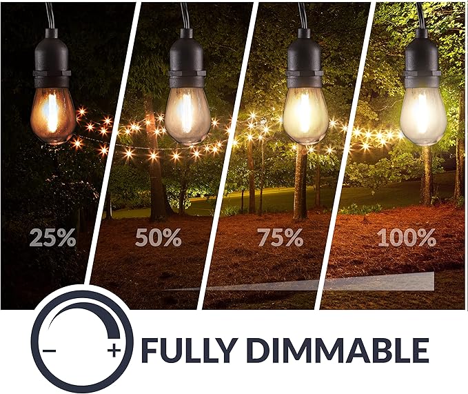 Newhouse Lighting LED String Lights with Weatherproof Technology Dimmable with Wireless Remote Control 48ft and 16 (15+1 Free) LED Light Bulbs Included Black (CSTRINGLEDDIM)