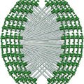 Wholesale Lot 100-pc Metal Tent and Canopy Peg Green