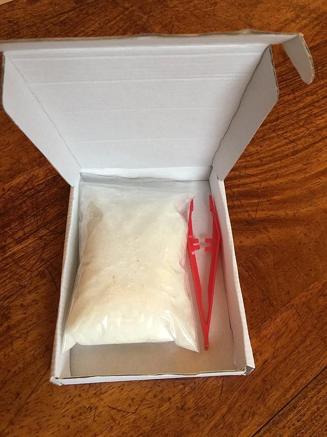 800+ Fill Power Goose Down Refill - 5g Pure Humanely Sourced Insulation by Down Jacket Repair - Jacket &amp Sleeping Bag Fill